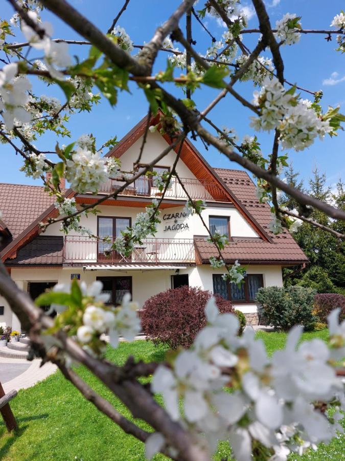 Czarna Jagoda ชาร์นาโกรา ภายนอก รูปภาพ