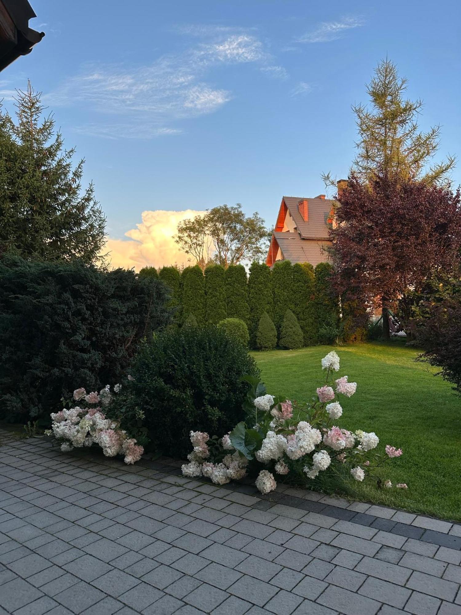 Czarna Jagoda ชาร์นาโกรา ภายนอก รูปภาพ