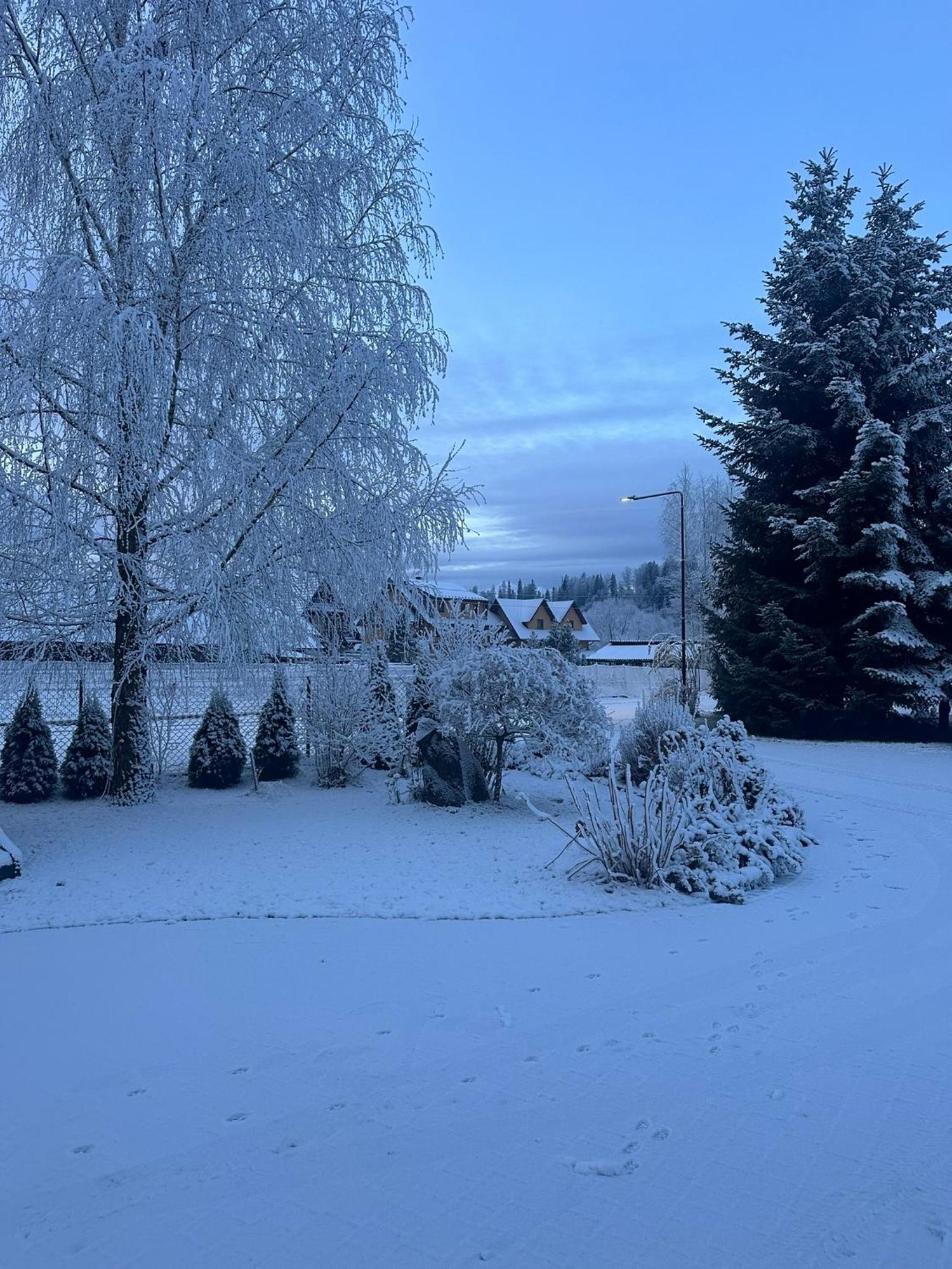 Czarna Jagoda ชาร์นาโกรา ภายนอก รูปภาพ